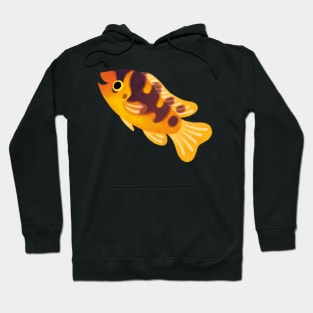 Bumblebee cichlid Hoodie